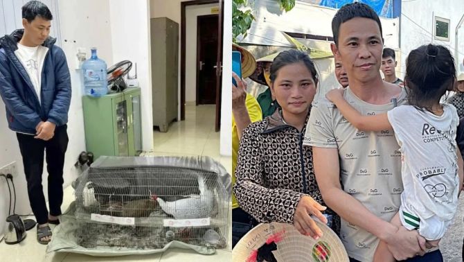 Vụ án ‘gà lôi trắng’ và bản án 6 năm tù: Hé lộ tình tiết mới trước phiên tòa phúc thẩm của Thái Khắc Thành