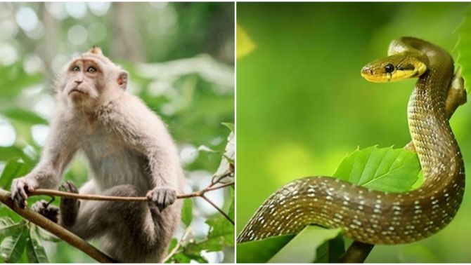 Vào ngày 15/9, 4 con giáp sau đây sẽ có tài lộc dồi dào, cơ hội liên tục, sự nghiệp thăng tiến từng bước