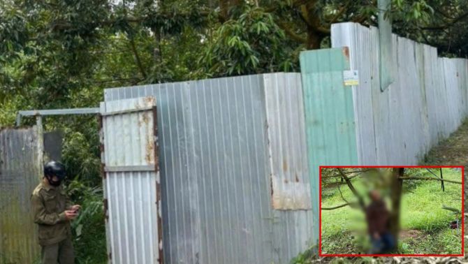 Phát hiện bộ xương giữa vườn sầu riêng ở Đồng Tháp, nhiều chi tiết nhận dạng dần được hé lộ