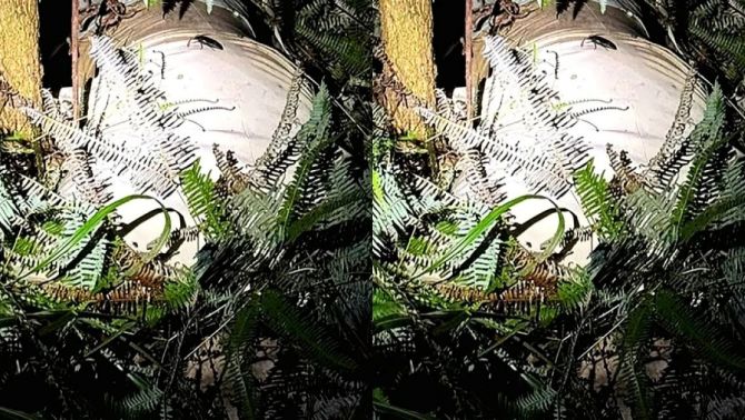 Danh tính thi thể bị giấu trong bao vải ở Quảng Ninh, xuất hiện hình ảnh cuối của nạn nhân trước khi mất tích