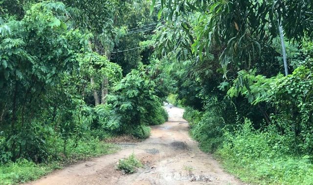 Nhân thân bất hảo của đối tượng nghi dùng dao sát hại mẹ ruột, chém trọng thương chị gái ở TP.HCM