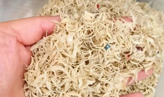 Hé lộ lý do Trung Quốc thu mua móng tay người với giá cao