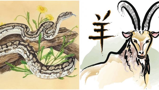 Từ 1/10, 4 con giáp sau sẽ đón may mắn, tiền vào như nước, không phải lo toan chuyện tiền bạc