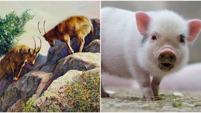 Bước sang tháng 10, 4 con giáp sẽ có tài lộc dồi dào, sự nghiệp thăng tiến, cuộc sống tốt đẹp hơn