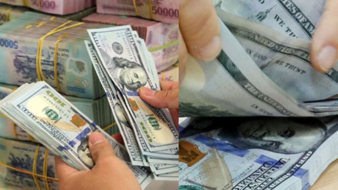 Tỷ giá USD hôm nay 12/10: Giá USD tự do giảm mạnh nhất nhiều tuần, thị trường ngoại tệ 'dậy sóng' cuối tuần