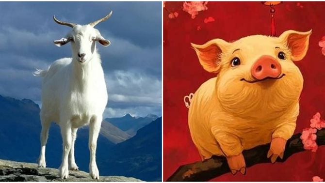 Từ ngày 13/10, 3 con giáp sau đây sẽ gặp nhiều may mắn, tiền vàng bất ngờ rơi trúng đầu