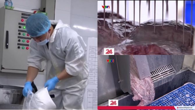 Kinh hãi cận cảnh quá trình bơm tinh chất biến thịt trâu để cả năm trời thành bò Wagyu thượng hạng