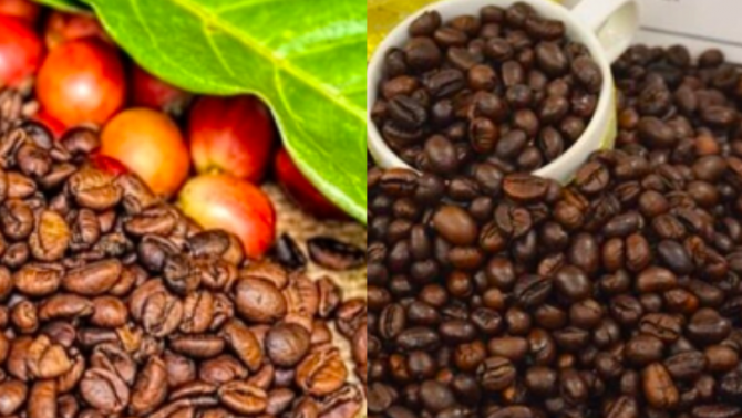 Giá cà phê hôm nay 21/10: Diễn biến trái chiều trên sàn quốc tế, thị trường ngỡ ngàng vì lý do bất ngờ