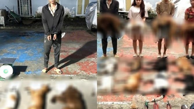 Triệt phá lò mổ chó từ các đối tượng đi trộm: Công an thu giữ được gì đáng chú ý tại hiện trường?