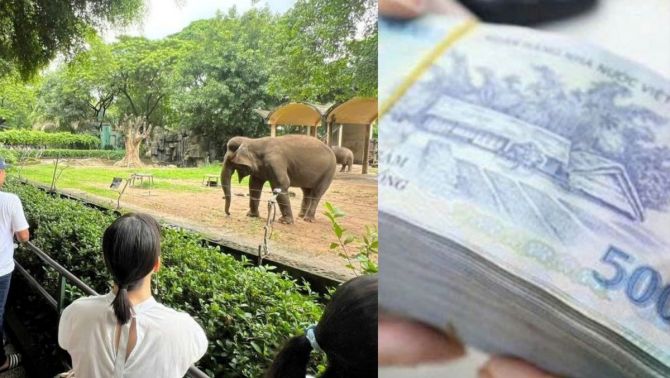 Vụ vườn thú từng bị ‘sờ gáy’ vì nợ thuế, hé lộ doanh thu khủng