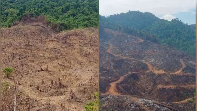 Hé lộ nguyên nhân khiến vụ 98h ha rừng bị xâm hại không được xử lý kịp thời