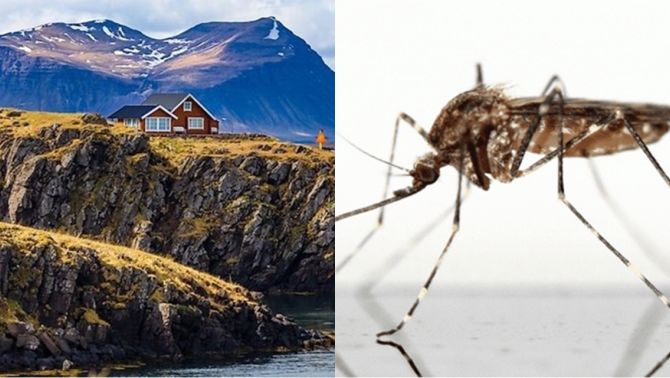 Quốc gia đặc biệt nhất thế giới từng chỉ có duy nhất 1 con muỗi
