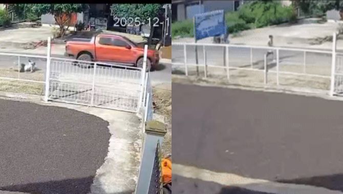 Khoảnh khắc ô tô bán tải tông người rồi rời hiện trường gây bức xúc, CSGT vào cuộc xác minh toàn bộ diễn biến vụ việc