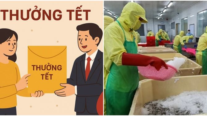 Cà Mau: Tiết lộ mức thưởng Tết 2026 cao nhất người lao động có thể nhận được