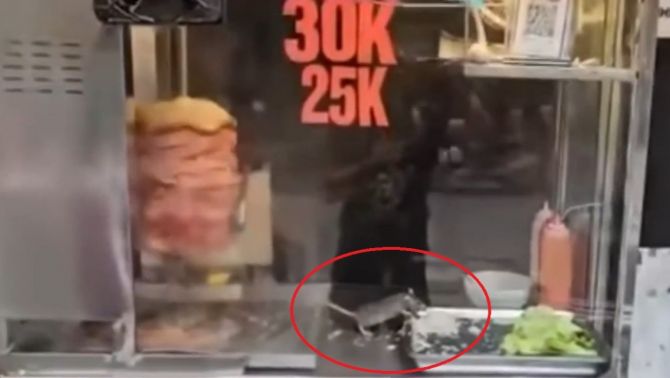 Sốc: Chuột thản nhiên gặm rau thịt trong tủ bánh mì ở Hà Nội, chủ quán lên tiếng nói sự thật! 