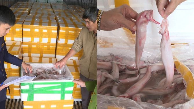 Phát hiện 7 tấn cá khoai xử lý bằng hóa chất cấm đang được tuồn ra thị trường: Lời khai phẫn nộ của tài xế