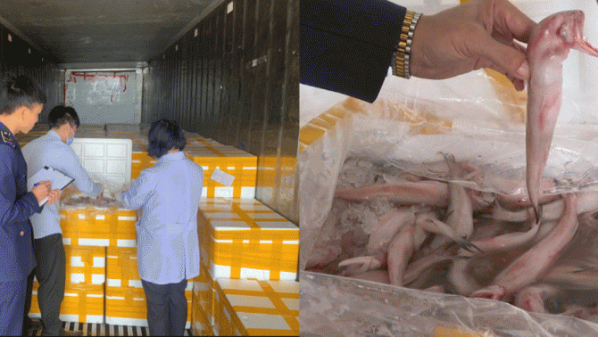 Vụ 10 tấn cá khoai chứa chất bảo quản cực độc: Hóa chất ướp cá độc mức nào, dấu hiệu nhận biết