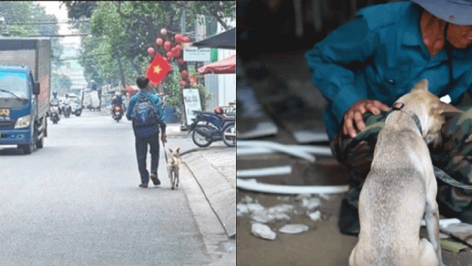 Xót xa về hoàn cảnh người đàn ông dắt chú chó đi bộ xin việc ở TP.HCM: Vợ bỏ đi khi con mới 4 tuổi
