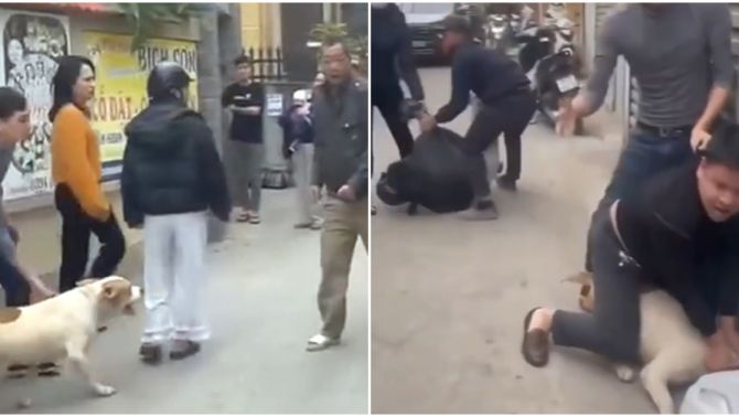 Xôn xao clip nam thanh niên xua chó vào cắn người dữ dội trong cuộc ẩu đả giữa 2 người đàn ông ở Hà Nội