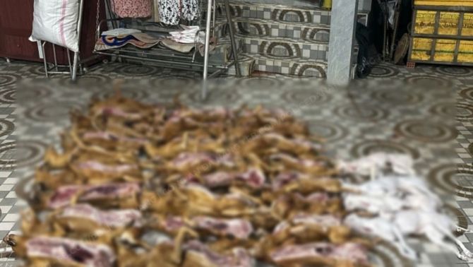 Đà Nẵng: Phát hiện lò mổ chó không rõ nguồn gốc xuất xứ, kèm thêm pháo hoa nổ vi phạm pháp luật