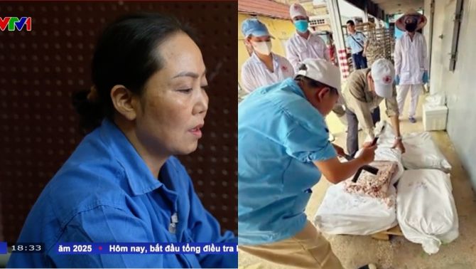 Ám ảnh lời khai vụ 130 tấn thịt lợn bệnh của CTCP đồ hộp Hạ Long, lộ diện ‘bà trùm’ cung cấp hàng bẩn