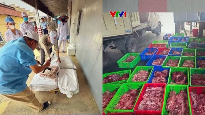 Cận cảnh kho hàng chứa 120 tấn thịt lợn nhiễm bệnh của CTCP đồ hộp Hạ Long, hé lộ cách qua mặt lực lượng chức năng