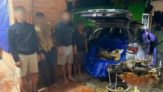 Tóm gọn 9 đối tượng trộm chó vào rạng sáng, hé lộ lò giết mổ với hàng tấn chó sống đang chờ thịt