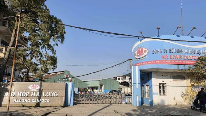 NÓNG: Bắt Tổng giám đốc Đồ hộp Hạ Long cùng nhiều nhân sự, hé lộ đường dây thịt heo nhiễm bệnh quy mô lớn