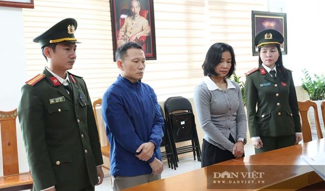 Hé lộ nguyên nhân và loạt sai phạm khiến nữ Giám đốc Trung tâm Huấn luyện và Thi đấu TDTT Hà Tĩnh bị bắt