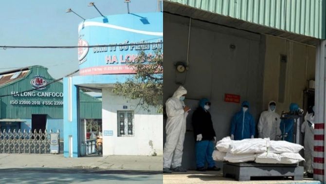 Toàn cảnh hơn nửa ngày chôn lấp kho thực phẩm nhiễm dịch của Đồ hộp Hạ Long,  hé lộ khối lượng ‘khủng’ bị tiêu hủy