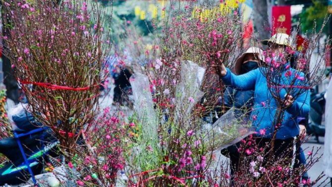 Dự báo mới nhất thời tiết Tết Nguyên đán 2026: Miền Bắc đối mặt rét đậm rét hại, mưa lớn có xuất hiện đúng kỳ nghỉ?