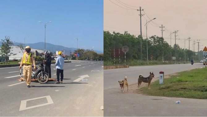 Khánh Hòa: Thả rông chó gây tai nạn chết người, người chủ đối diện án hình sự, hình phạt cực nặng?
