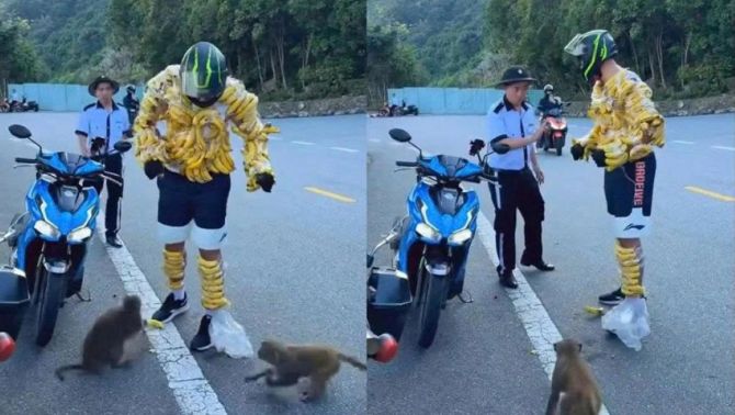 Clip du khách dùng chuối chọc ghẹo đàn khỉ ở Sơn Trà gây phẫn nộ: Ban quản lý vào cuộc khẩn