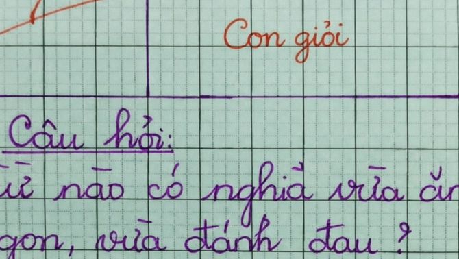 Từ tiếng Việt vừa có nghĩa là đồ ăn, vừa hiểu là đánh đau, chuyên gia ngôn ngữ chưa chắc biết