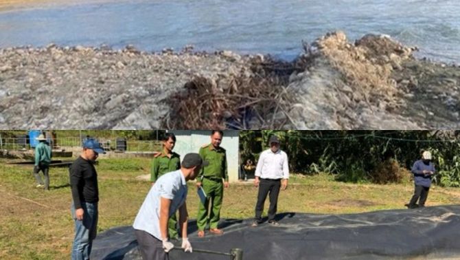 Loạt nhà máy chế biến nông sản xả nước thải ra thẳng sông ở Quảng Ngãi, mức phạt nào là thích đáng? 