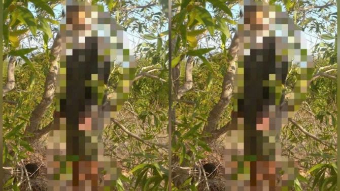 Vụ người đàn ông treo cổ trong rừng tràm ở Lâm Đồng: Hé lộ lá thư tuyệt mệnh và cuộc gọi cuối cùng