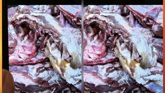 90kg thịt lợn đổi màu bất thường tuồn vào trường học tại TPHCM: Sự cố hy hữu hay tin đồn ác ý?