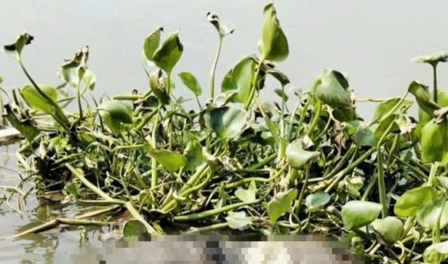 Nam thanh niên mất tích bí ẩn sau cuộc gọi với bố: Gia đình sốc khi nhận tin xé lòng