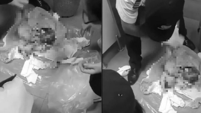 Phát hiện thi thể bé sơ sinh trong nhà vệ sinh KCN Giao Long: Diễn biến đau lòng, công an vào cuộc làm rõ