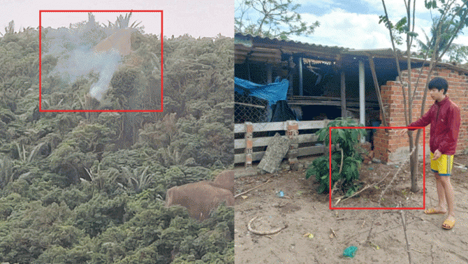 Vụ máy bơi quân sự rơi ở Đắk Lắk: Nam sinh lớp 11 run rẩy khi thấy cảnh mặt phi công bê bét máu