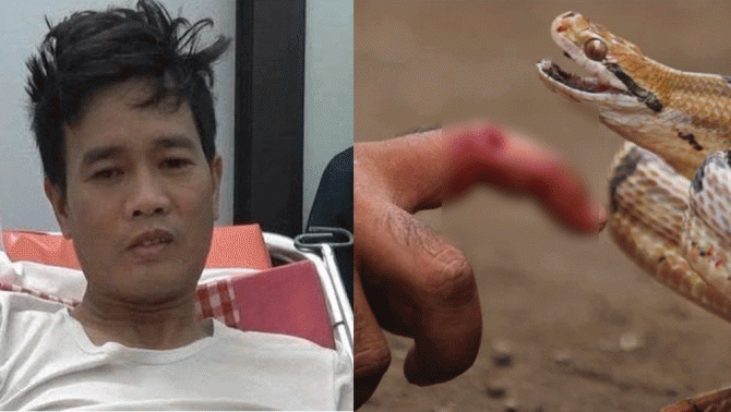 Chồng sát hại vợ, chạy ra vườn thì bị rắn độc cắn: Nguyên nhân ra tay tàn độc và tình hình nghi phạm