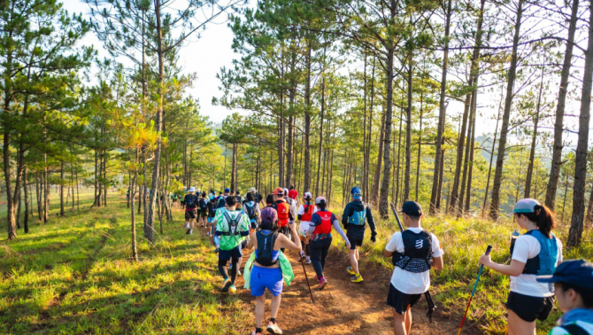 Dalat Ultra Trail x Kailas FUGA - Cú bắt tay nâng tầm trải nghiệm chạy địa hình mùa giải 2026