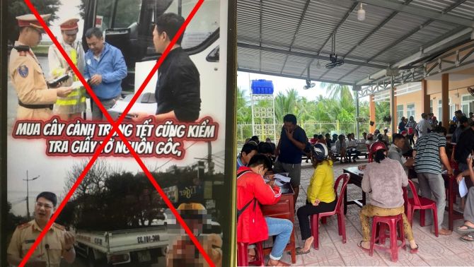 Cục CSGT lên tiếng về thông tin mua cây cảnh trưng Tết bị kiểm tra giấy tờ nguồn gốc