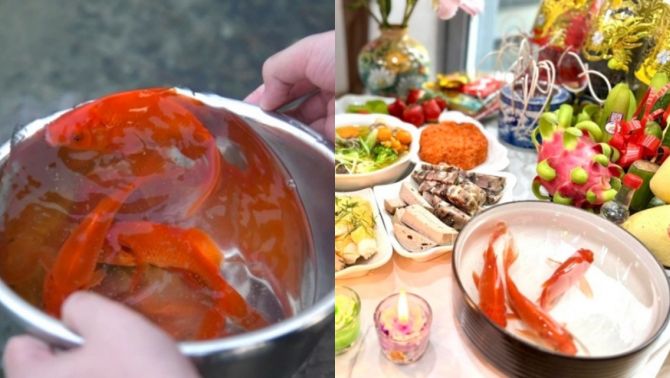 Bí ẩn phía sau con cá chép ngày 23 tháng Chạp: Vì sao linh vật này được chọn đưa Táo quân về trời suốt bao đời