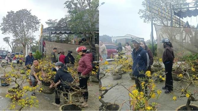 Người đàn ông từ Gia Lai ra Nghệ An bán mai ‘bị lừa’ trắng trợn và cái kết ấm lòng cư dân mạng