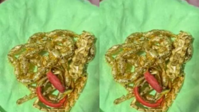 Dọn nhà đón Tết, cô gái vứt nhầm túi vàng 400 triệu đồng vào thùng rác: Sốc với hành động người nhặt