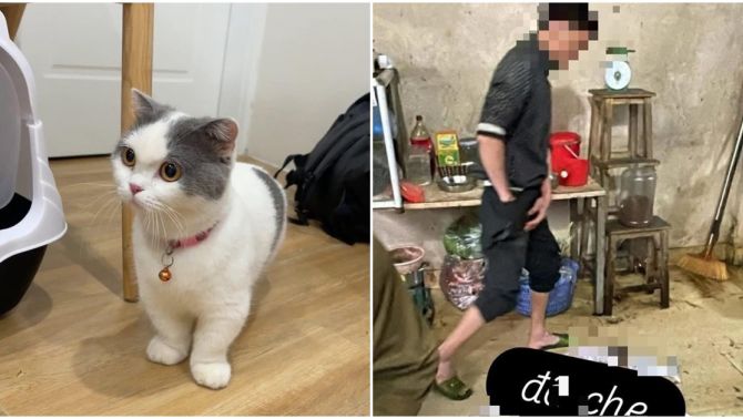 Cô gái phát hiện mèo cưng trong lò mổ, chủ quán đòi 6 triệu tiền chuộc nếu không sẽ làm 1 việc gây phẫn nộ