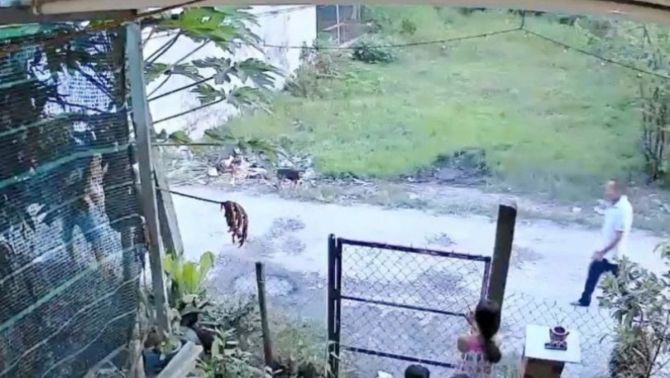 Mâu thuẫn đất đai, cậu ruột vung dao đâm cháu ở Tây Ninh: Lộ uẩn khúc phía sau vụ án không đáng có