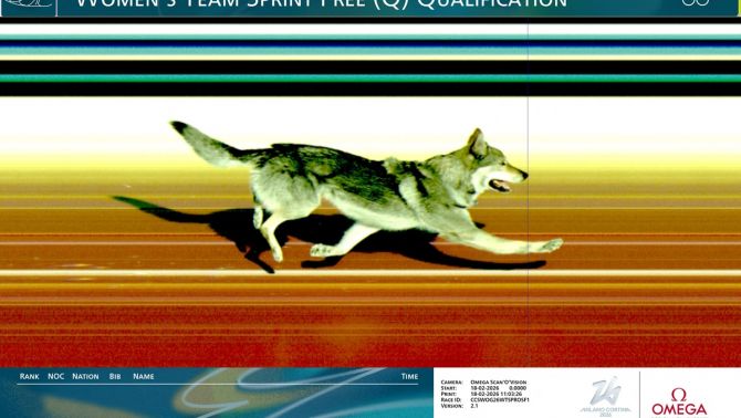 'Chó sói' lao vào đường đua Olympic mùa đông 2026 rượt đuổi VĐV, cán đích khiến CĐV phấn khích