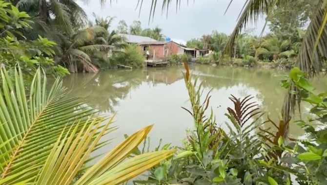 Thông tin chính thức vụ phát hiện thi thể bé sơ sinh trong ao nhà dân ở Hải Phòng ngày mùng 3 Tết